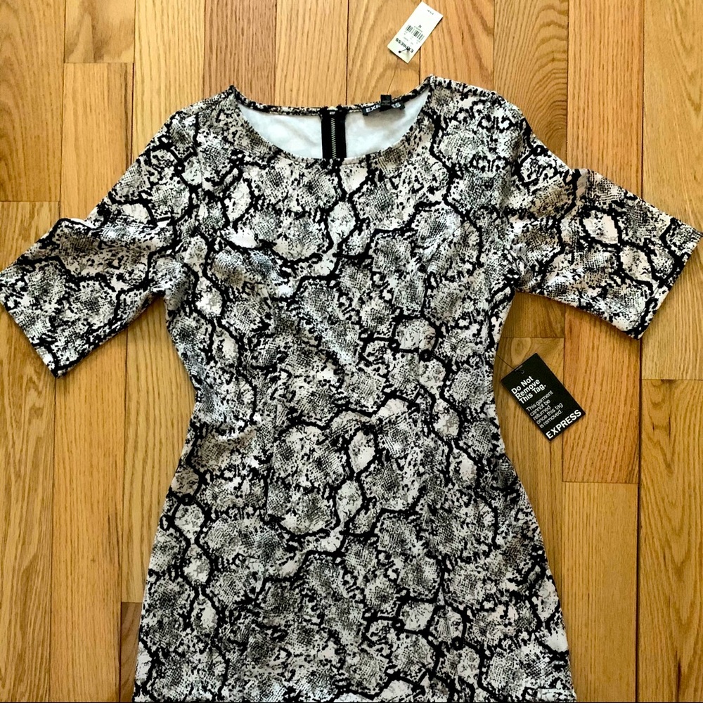 Express Snake Print Dress